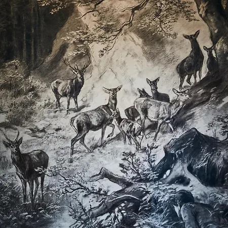 Apartment Kohlmais Saalbach-Hinterglemm