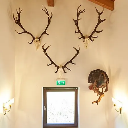 Appartement Kohlmais