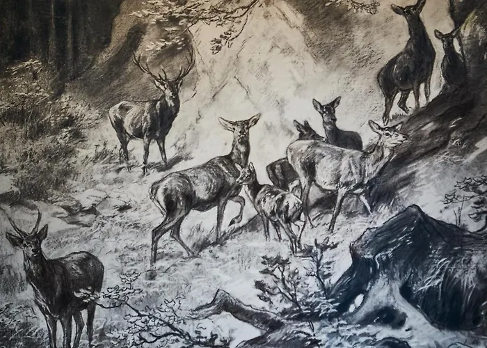 Appartamento Kohlmais Saalbach-Hinterglemm